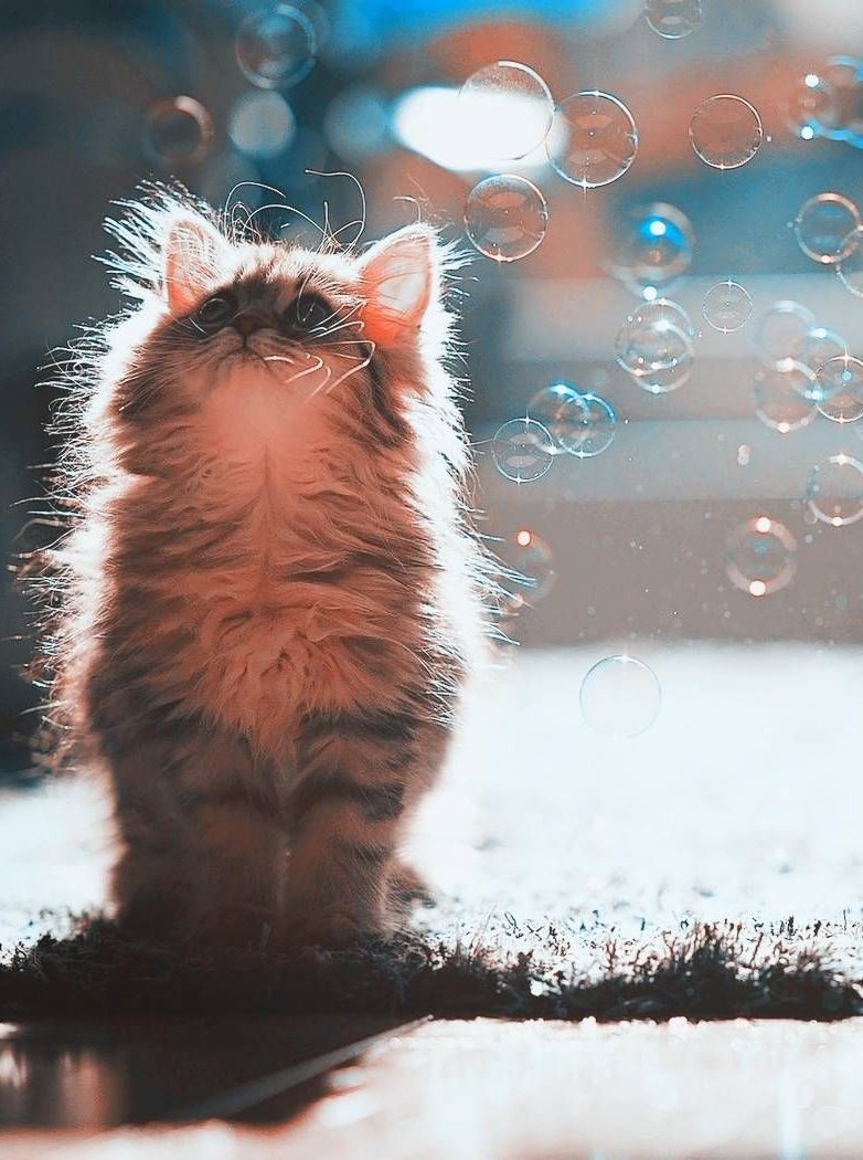 tinygyul's tweet image. #무대장인_한결아_생일축하해
#myBAE_HANGYUL_DAY