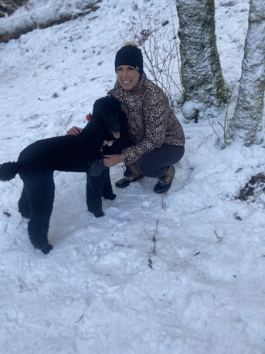 tasha_maples's tweet photo. Enjoying the snow in the Great Smokies National Park today ❄️ ⛄️ #gsmnp #poodlelife #snowmuchfun https://t.co/0qMMuviSDo