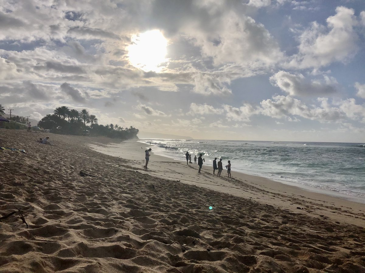 peter barlow tweet media