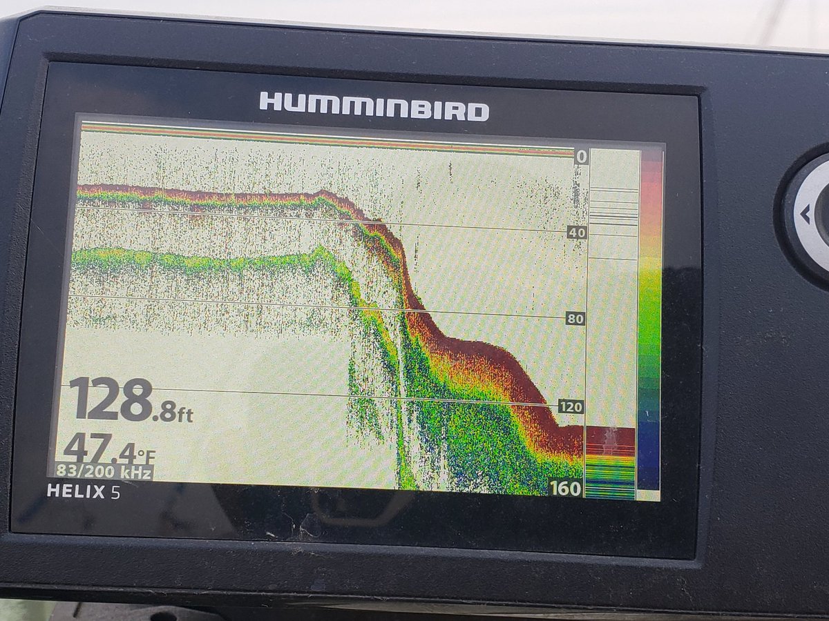 1weekendangler's tweet photo. Now THAT'S what I call a ledge!
#fishing #weekendangler #catfish #katfishclothing #catfishing #monsterrodholders #tanglingwithcatfish #catmaxx #rigrap #humminbird #fitec #ohioriver #sonar https://t.co/kgujkRUFIi