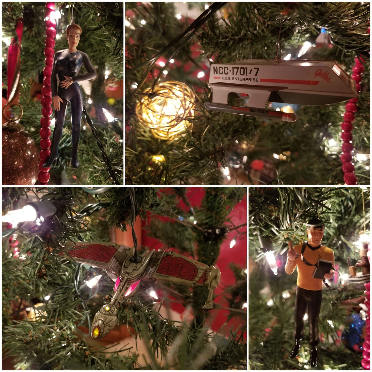 Eden Dahlstrom tweet media