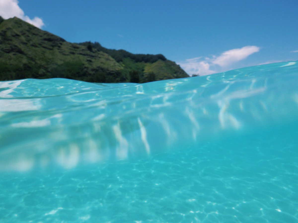 Shelbieebee's tweet photo. Tahiti and Moorea for our 2 year wedding anniversary! What a life I have been given 🥰 https://t.co/2bNWEiq4Hp