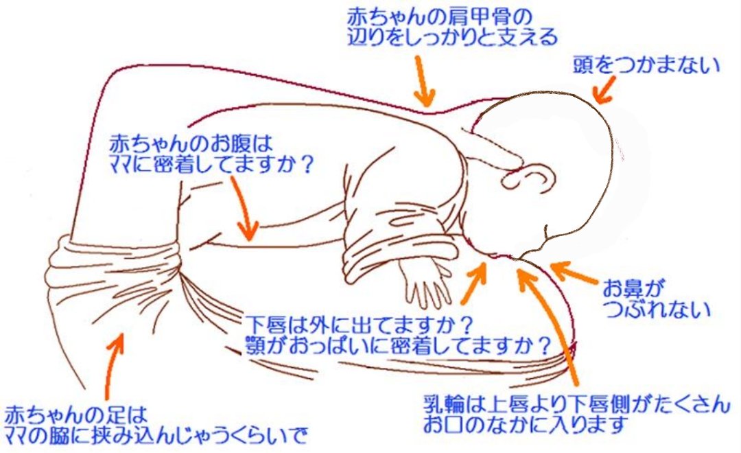Yui すごいですねこれ まともなのはげっぷのさせ方くらい どこが間違ってるのかわからないと言う意見も見かけましたので ひとつずつ書いていこうかと思います Twitter