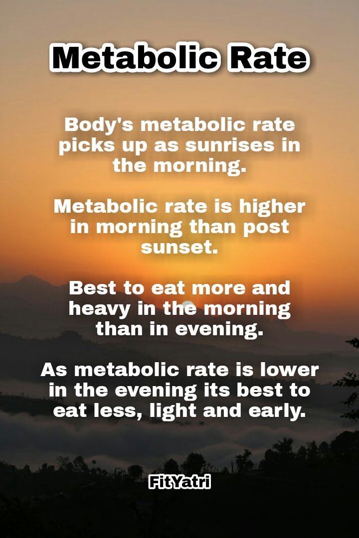 fityatri's tweet photo. The best time to eat is to eat with the Sun🌄🌅

Are you up with the Sun?

#metabolicrate #sunrise #sunset #fityatri https://t.co/WvpIVDvUdr