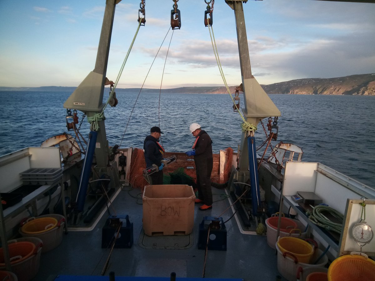 mba_rv's tweet image. That NE wind is biting! Today&apos;s going to be a chilly old survey at Whitsand Bay 🥶 #LongTermMonitoring #ResearchVessel #InshoreFish #ScienceAtSea @thembauk @CPRSurvey @MBAEcology
