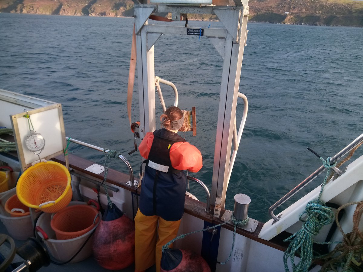 mba_rv's tweet image. That NE wind is biting! Today&apos;s going to be a chilly old survey at Whitsand Bay 🥶 #LongTermMonitoring #ResearchVessel #InshoreFish #ScienceAtSea @thembauk @CPRSurvey @MBAEcology
