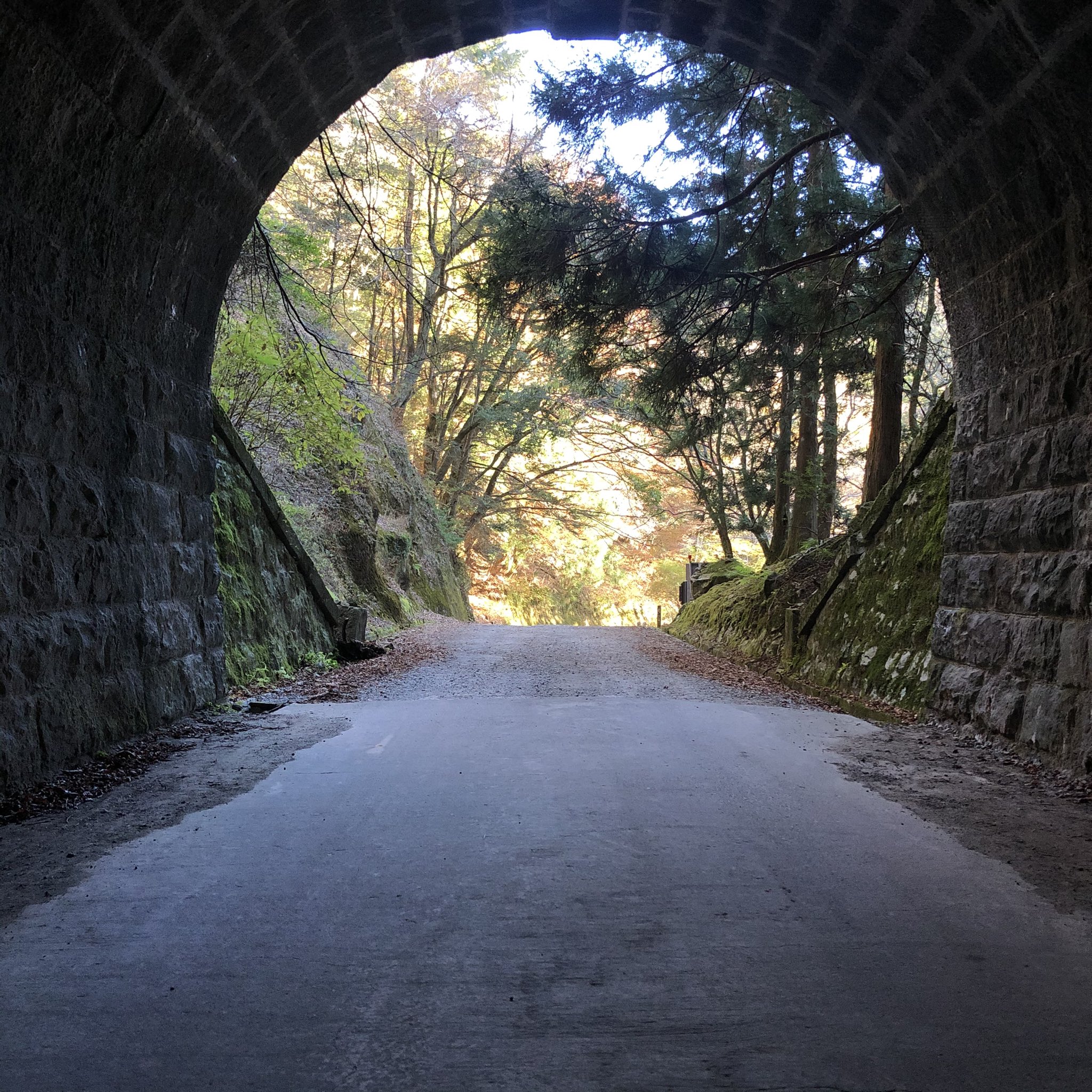 河津町観光協会 旧天城トンネル付近 秋から冬に移行中 河津 トンネルからみた河津 勝手にsns強化月間 旧 天城トンネル T Co Wwhds72n3p Twitter