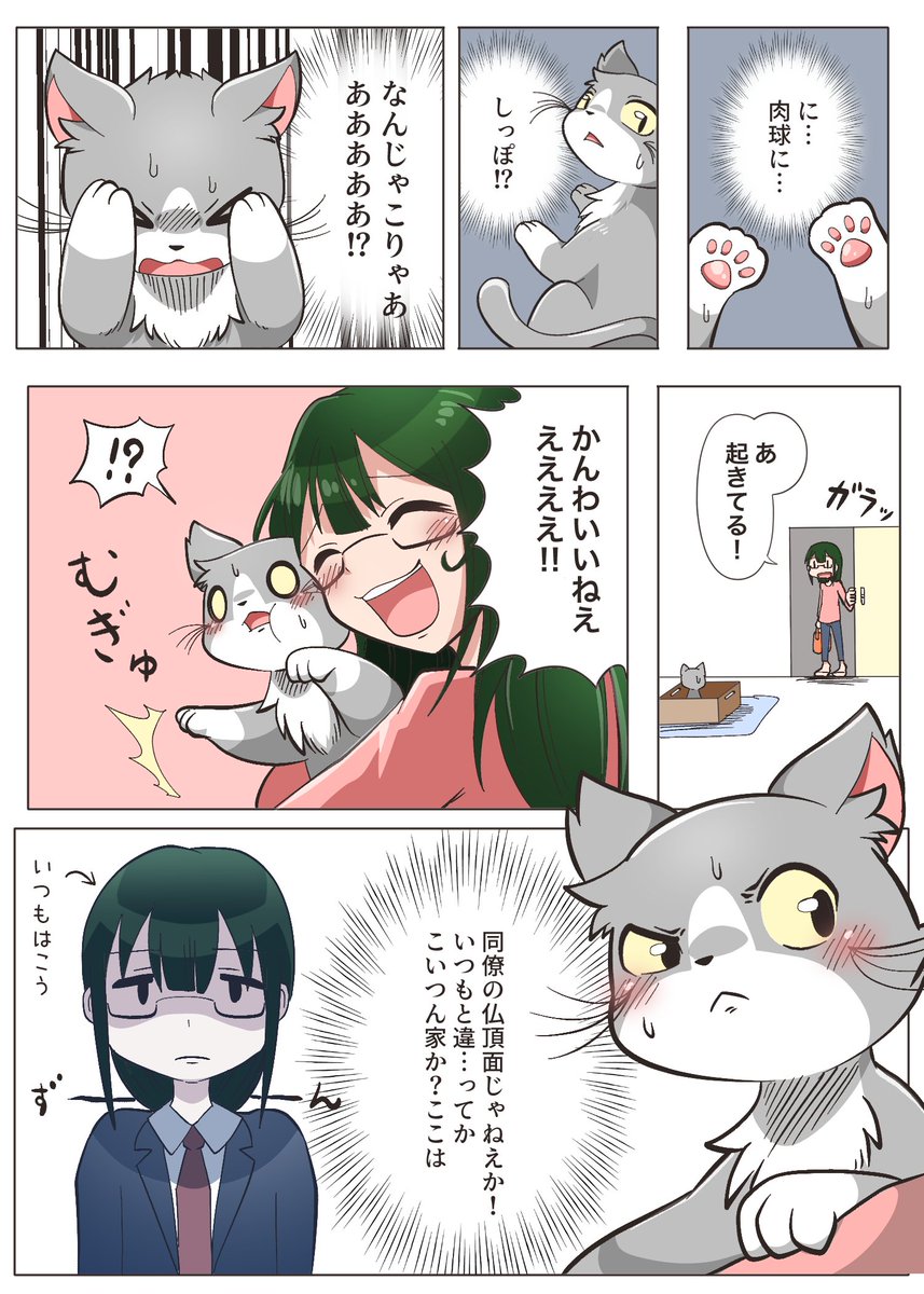 ありがちなケモTF漫画描きました?‍⬛ 