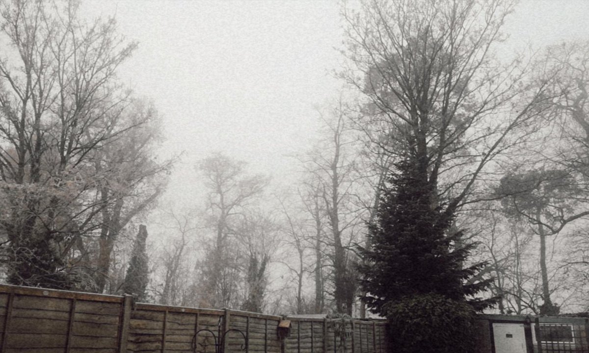 Chirpy_Hannah's tweet photo. Working in a winter wonderland 🥶❄️ https://t.co/QsMIUlYvuM