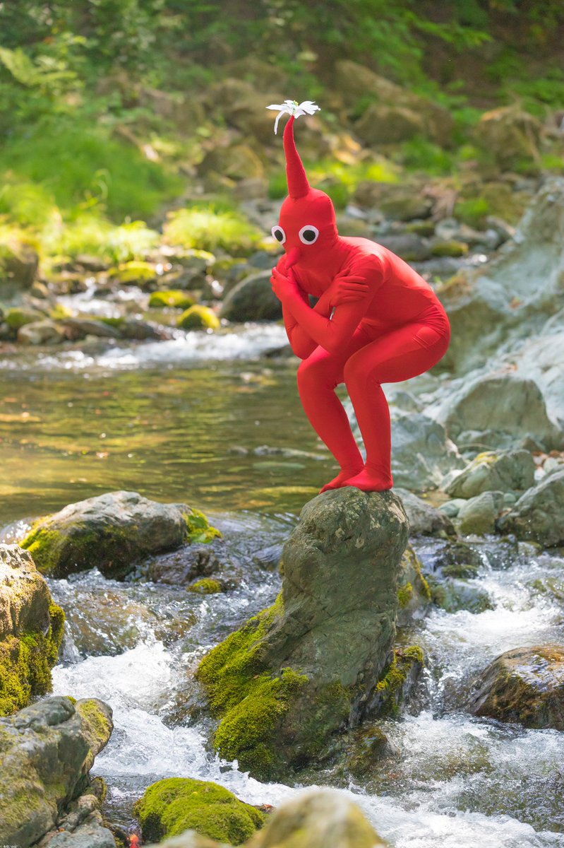 Pikmin - 皮克敏Cosplay Eon4Vd9VoAAbuKr