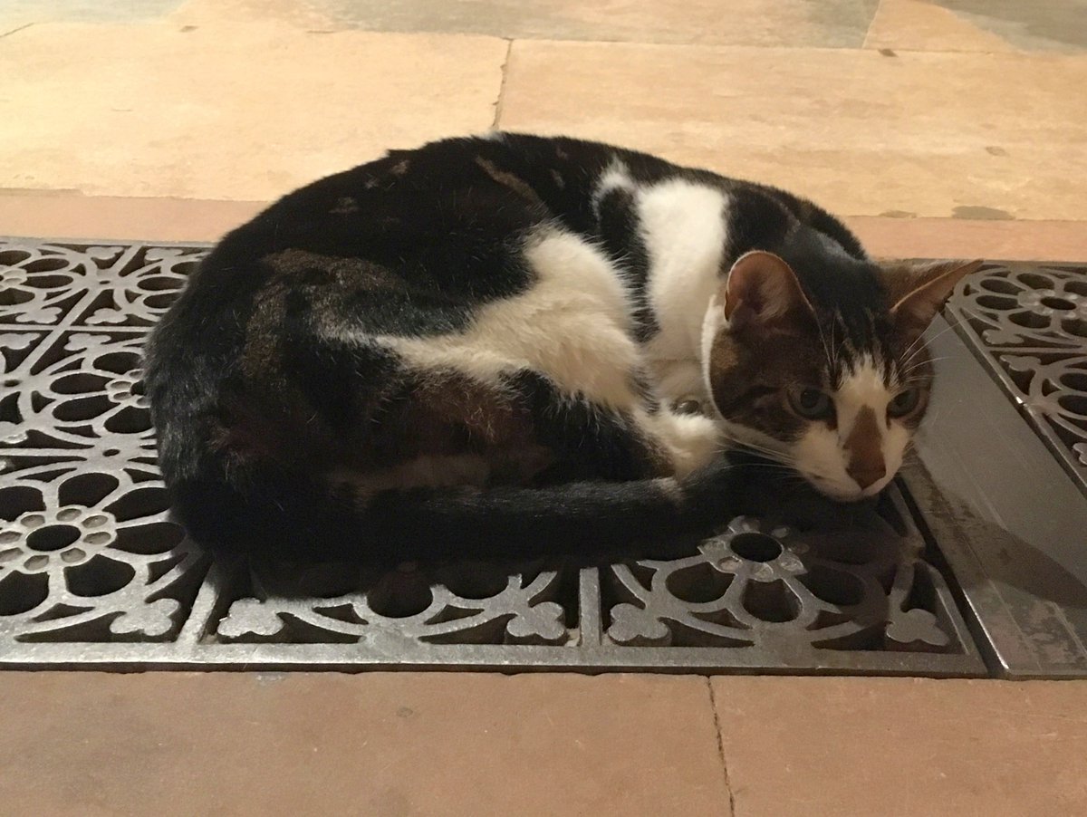 Cassie Tillett tweet media