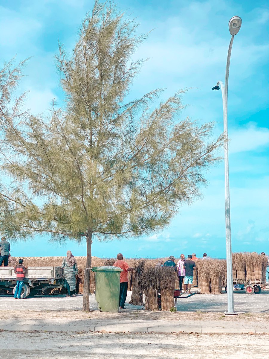 Maaanie09's tweet photo. ވަރައް  ގިނަ  ދުވަހައް  ފަހު  ފަންގަންނަން  ބަޔަކު  އަތުވެއްޖެ.
7/12/2020
@manadhoomv https://t.co/1it6G9VPc2