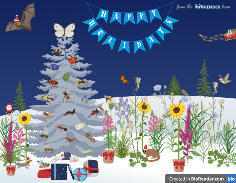 sam_nobes's tweet photo. Happy Holidays @BioRender #sciencegreetings https://t.co/RjwilgjGKH