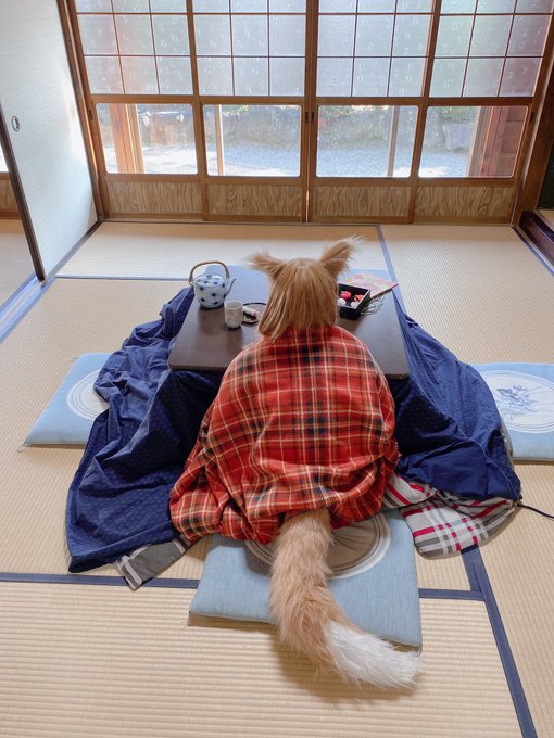 コスプレイヤー茉夏のTwitter画像23
