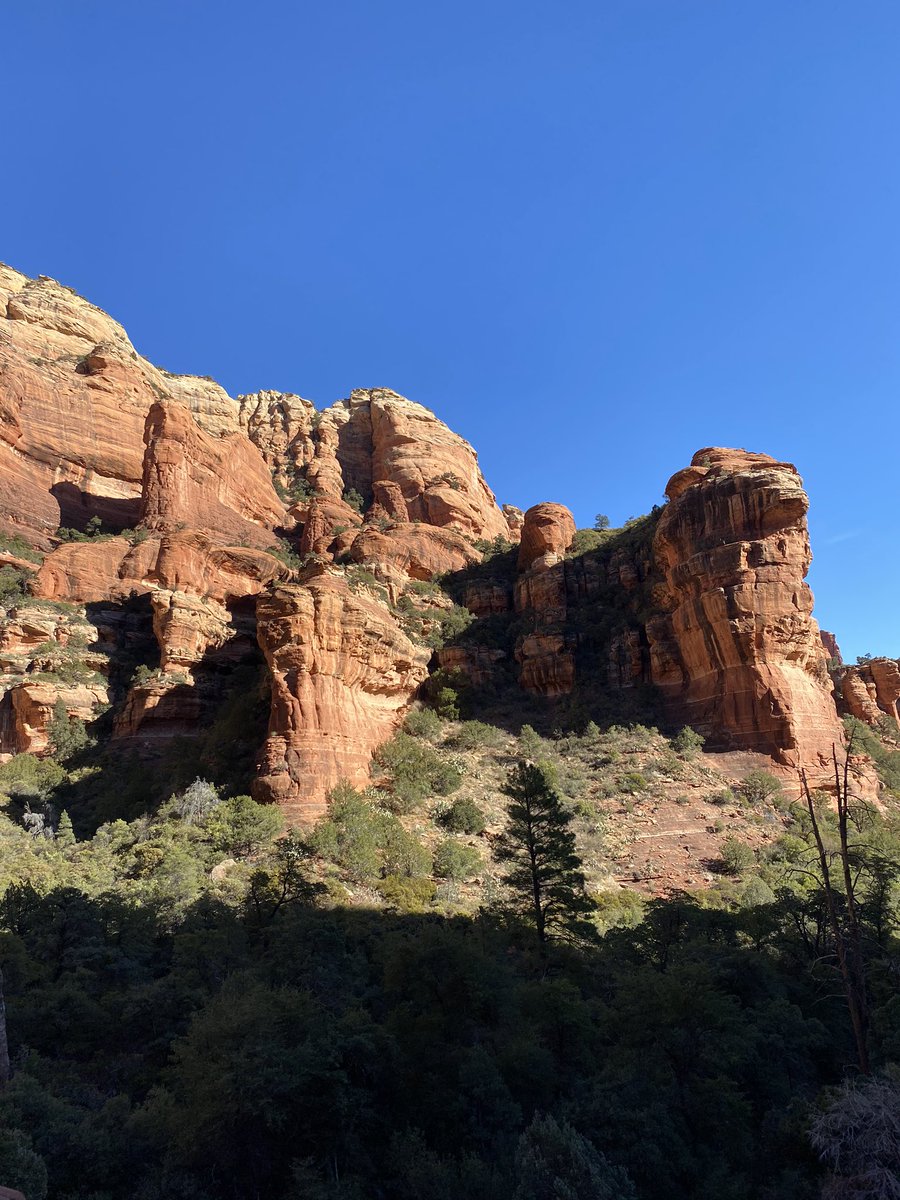 TieflingKitten's tweet image. Nature can be so inspiring when writing homebrew game ideas. The mere idea that tree looks like an exposed map. #naturecheck 

#druid #dnd