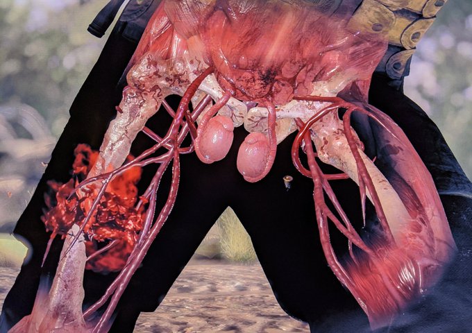 スナイパーエリート4、初めてキンタマショットを成功させる事ができた😆
最初のがあともうちょいだったけど太ももに当たったやつ、次のが見事命中したやつ。 