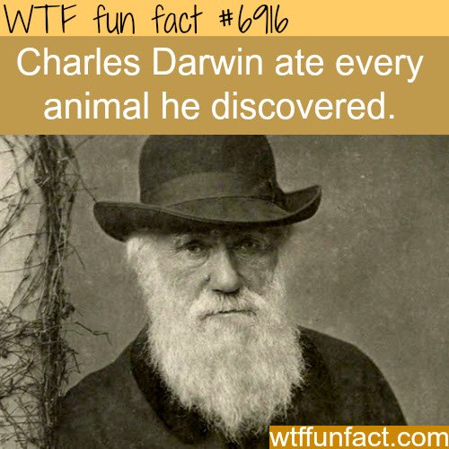 IS THIS TRUE??!???!!?!!?!!!