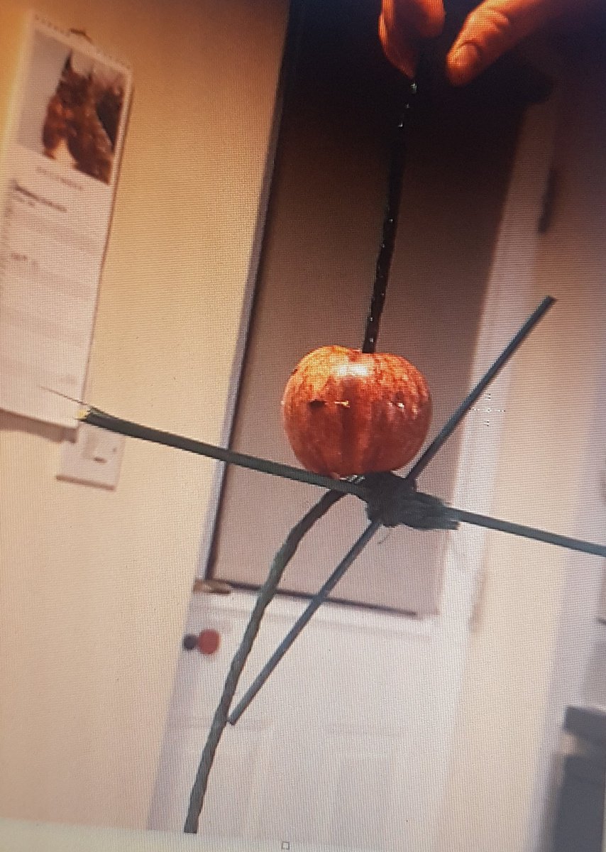 Well done to Ruby Martin-so impressed with her homemade bird feeder as part of the #kindness advent caldender challenge for the weekend. @wyedeanschool #birdfeeder #ecofriendly #greenergardener #rspb #birds