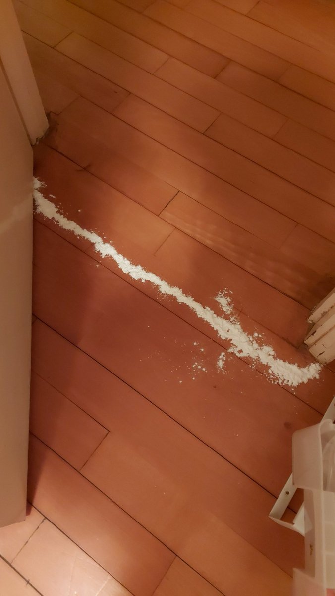 My cornsnake Cheetos has decided to go on a trip...Haven't seen her for 4 days now ...Gonna try what I learnt from playing Phasmophoia 🤷🏻‍♀️