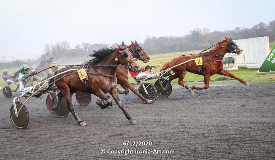 IrishTrotting's tweet photo. Congratulations to all those who had winners yesterday at @PortmarnockRWY in the last meet of the 2020 season! 

#IrishHarness #PortmarnockRaceway #IrishTrotter https://t.co/n1HygJZ3JW