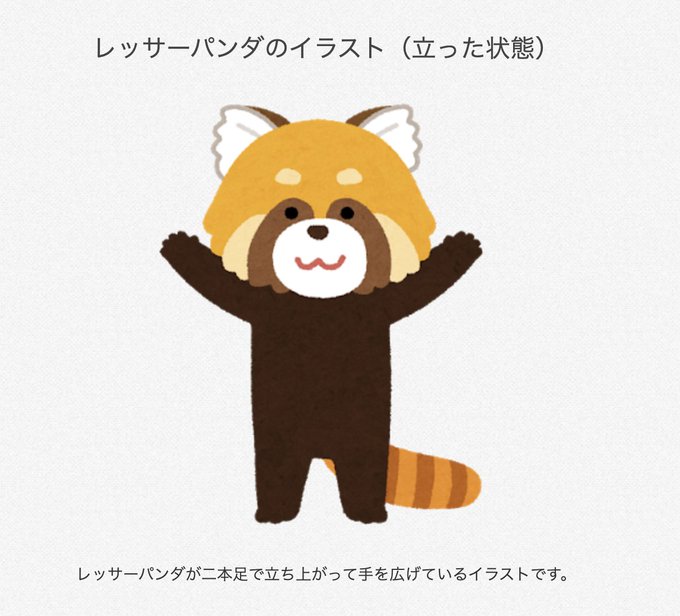 レッサーパンダの威嚇のtwitterイラスト検索結果