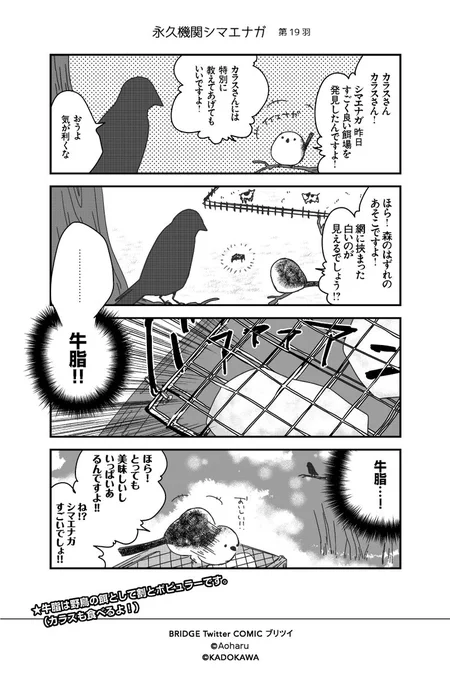 【月～金/平日毎日連載!!】青春(あおはる 
@awoharu

『シマエナガとカラスさん』第19羽  #永久機関シマエナガ #シマエナガとカラスさん 