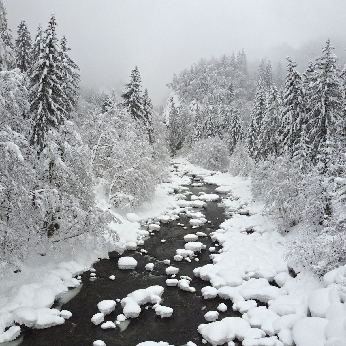 vivadisentis's tweet photo. Winter am Rhein.... #rhein #winter #neuschnee @Graubunden @MySwitzerland_d @SurselvaTourism #fontanivas #valmedel https://t.co/HIycXIdwBQ