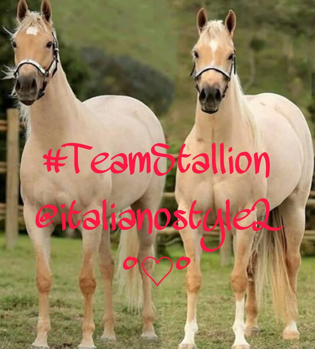 Who's active?
Follow all who retweet &amp; Like this
Follow me friends
#TEAMSTALLION 
<a href="/PopRioRe/">PopRioRe 🦄🦄 #TEAMSTALLION</a> 💘
<a href="/italianostyle2/">Frankie D....TEAMSTALLION</a> ty 🙏❤️
<a href="/MarEthr/">👉 Mark 28K 😜👇</a> 
<a href="/201cleo1/">✬☆ ClaudiaLiz✬☆</a> 
<a href="/MagDivina/">🌹Mag Divina ❤</a>
 <a href="/Diane1Queen/">🌹Diane🌹</a>
 @lovecelticwoman
 <a href="/nene37cutie/">nene 6K</a> 
 @IMSUGARH
 <a href="/CMCEN5/">caremedicalcentre</a> 
<a href="/SmileMom_/">𝒮𝓂𝒾𝓁𝑒 𝑀💞𝓂 🌹</a> 
<a href="/SmartMom_1/">⋆★ 🌹𝒮𝓂𝒶𝓇𝓉 𝑀❤𝓂 🌹 ★⋆</a> 
  @oce2005
 <a href="/slyfox6057/">Debra Fox</a> 
<a href="/09Esther/">ESTHER M.</a>