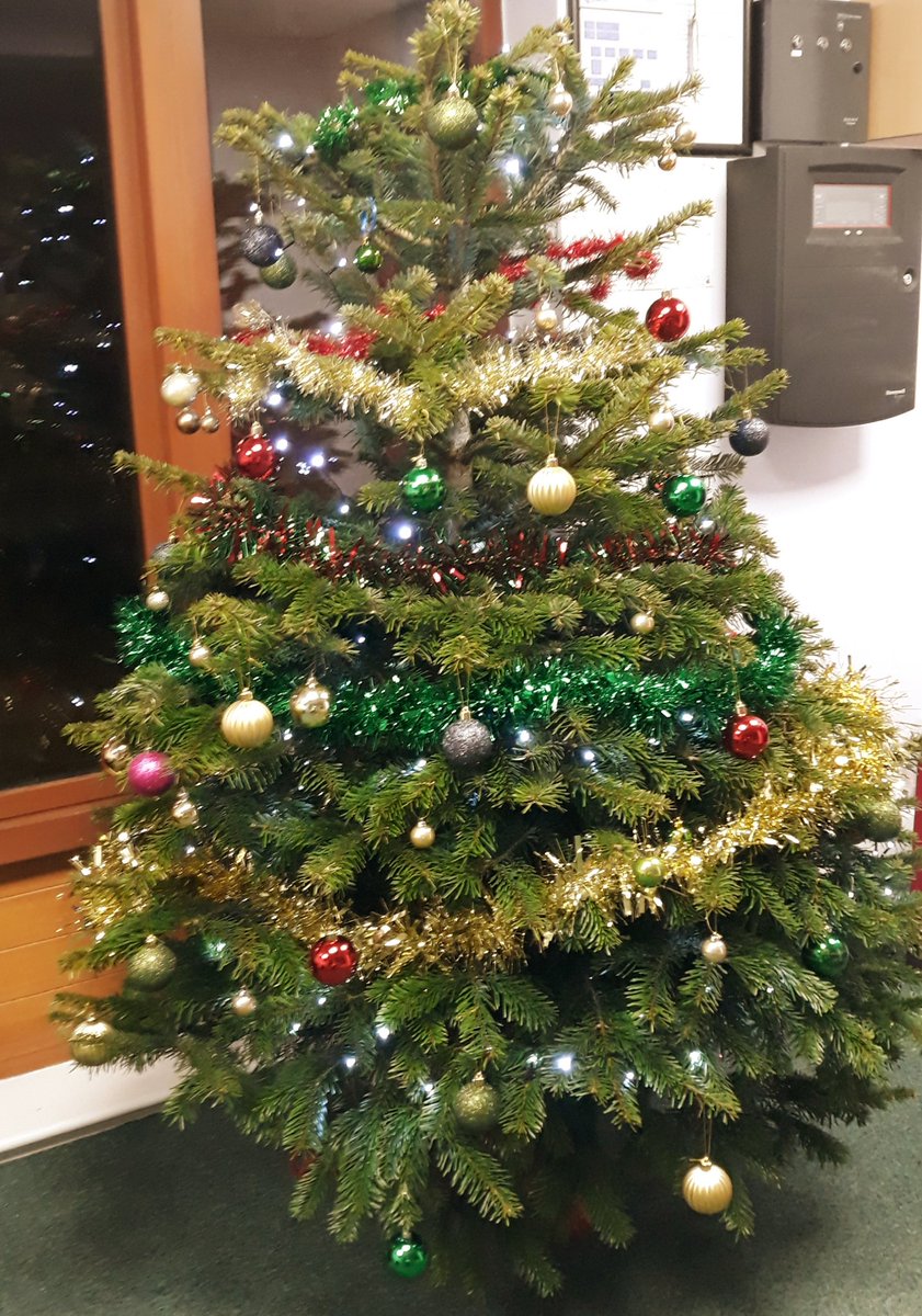 MacIntyreSchool's tweet photo. One of several of our Christmas trees - this one is in our reception area. The young people we support thoroughly enjoyed decorating it. Haven't they done well? Looks very pretty! #PrettyTree #funtimes https://t.co/iDa9v7On4J