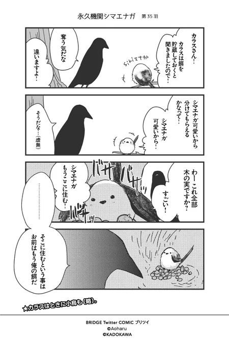 【月～金/平日毎日連載!!】青春(あおはる 
@awoharu

『シマエナガとカラスさん』第35羽  #永久機関シマエナガ #シマエナガとカラスさん 