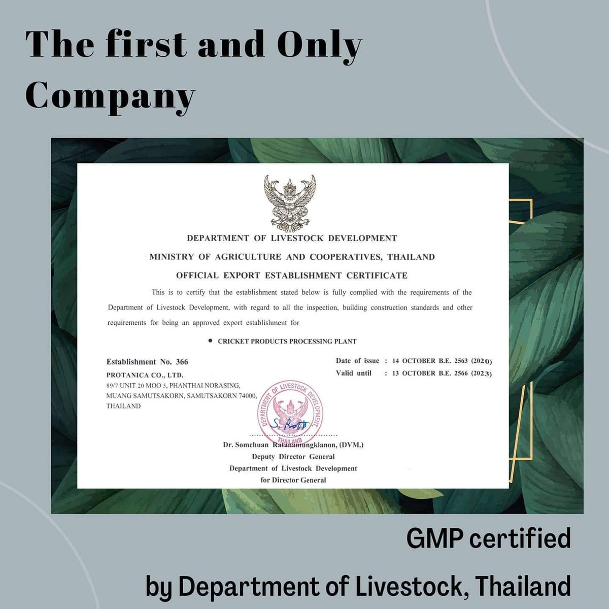 protanica's tweet photo. 🎉Protanica Update🎉
We are proud to announce
We are now the 'First and Only'
insect company in Thailand
GMP accredited by
Department of Livestock, Thailand-DLD.
#protanica
#cricketproteinpowder #sustainableprotein https://t.co/lZhqFseou7