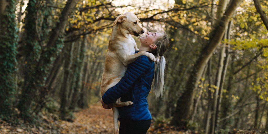 ActiveEssex's tweet photo. Start the week off right.
🕛Why don't you make it your personal goal to do at least 10 minutes of physical activity each day this week! If you need ideas to keep you moving, check them out here 👇
https://t.co/DwAur694ug #LetsDoThis #BetterHealth #EssexTogether https://t.co/XWOkM0pfEY