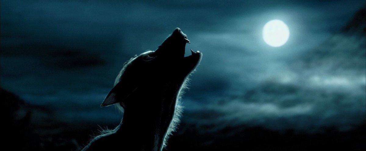 Pegg456's tweet photo. @letterboxd https://t.co/S1it61ErBg