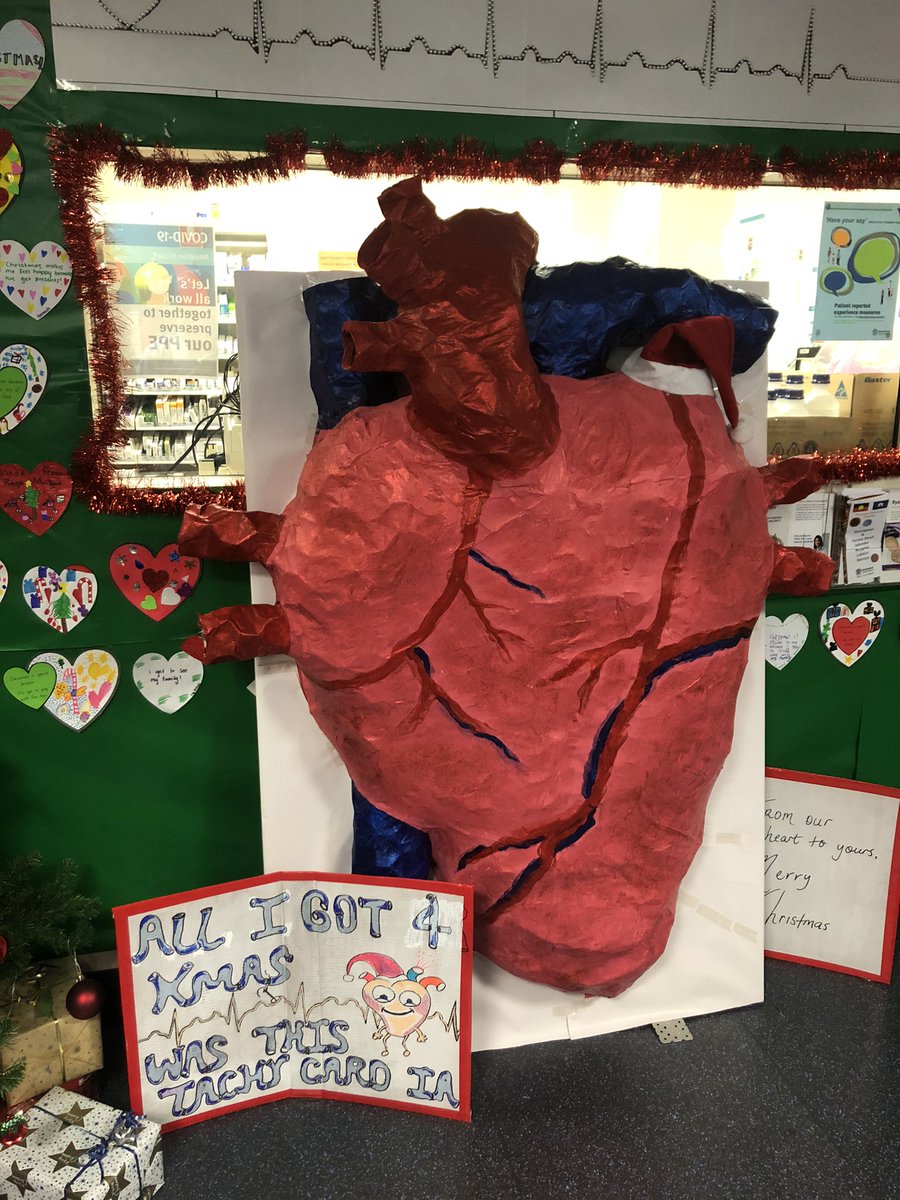 heartlungsaorta's tweet photo. Most amazing ward Christmas decorations ever. #anatomic #anatomicheart #anatomicalheart #cardiacsurgery #christmas @MetSthHealth https://t.co/rbo9MRYOy5