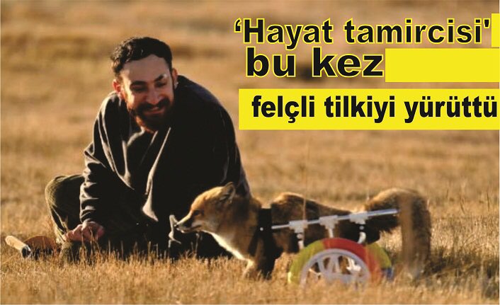 dvdvrgl's tweet photo. Mardin’in Derik ilçesinde yaşayan ve yaklaşık 600 hayvana yürüteç ve protez yapıp yürümelerini sağladığı için 'hayat tamircisi' olarak anılan Hasan Kızıl (24) bu kez de omurgaları kırık felçli bir tilkinin yürümesini sağladı✨ 

Güzel insanları eksilmesin memleketimin... https://t.co/arvBhesQLG