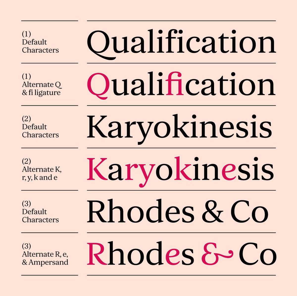 cotypefoundry's tweet photo. Due for release in Jan 2021, CoTypes first serif typeface 'Orbikular' will feature numerous alternates and ligatures, a few of which can be seen here. ⠀
⠀⠀
#typefacedesign #cotypefoundry #fontdesign #orbikular #orbikularfont https://t.co/ul3CAvAcuJ https://t.co/8JiwlD7tUB