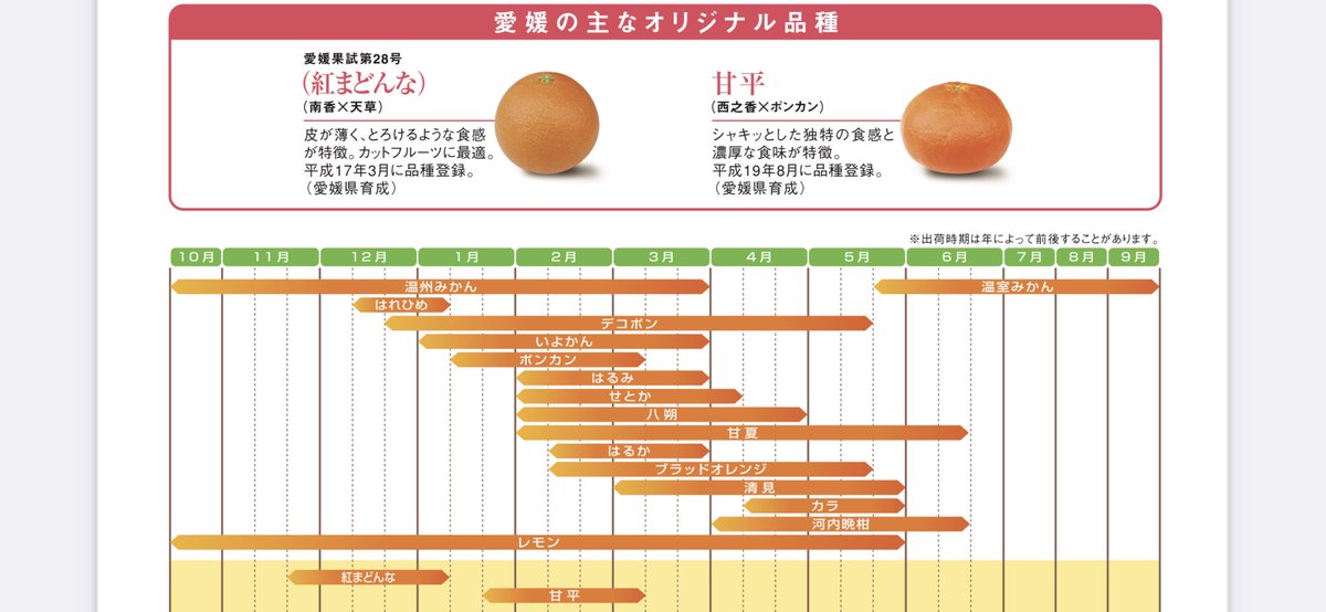 矢島 みかんの時期に気をつけてな みかん 冬 みたいな感じで冬ならいつでも食べれそうなイメージなんだけど 全然違うやで みかんの種類によって結構変わる 例えば2月頃に紅まどんな食べようと思っても食べれないからね また今度にしようじゃなくて