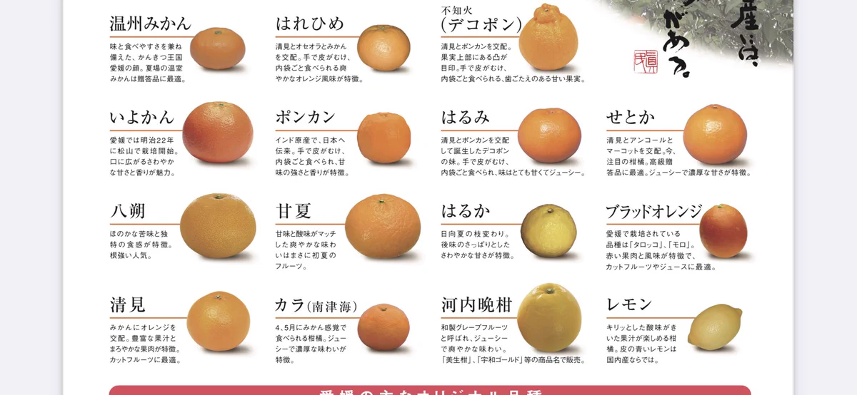 みかん=冬のイメージだが、実は種類によって旬が変わるらしい‼