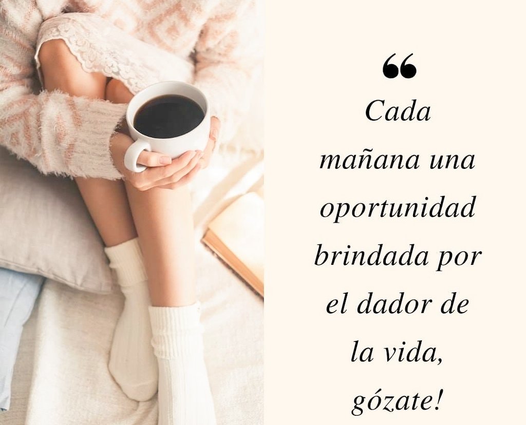 zeniapp's tweet photo. 📖 Por la misericordia de Jehová no hemos sido consumidos, porque nunca decayeron sus misericordias. Nuevas son cada mañana; grande es tu fidelidad.
Lamentaciones 3:22-23 https://t.co/8kJNziZLbW