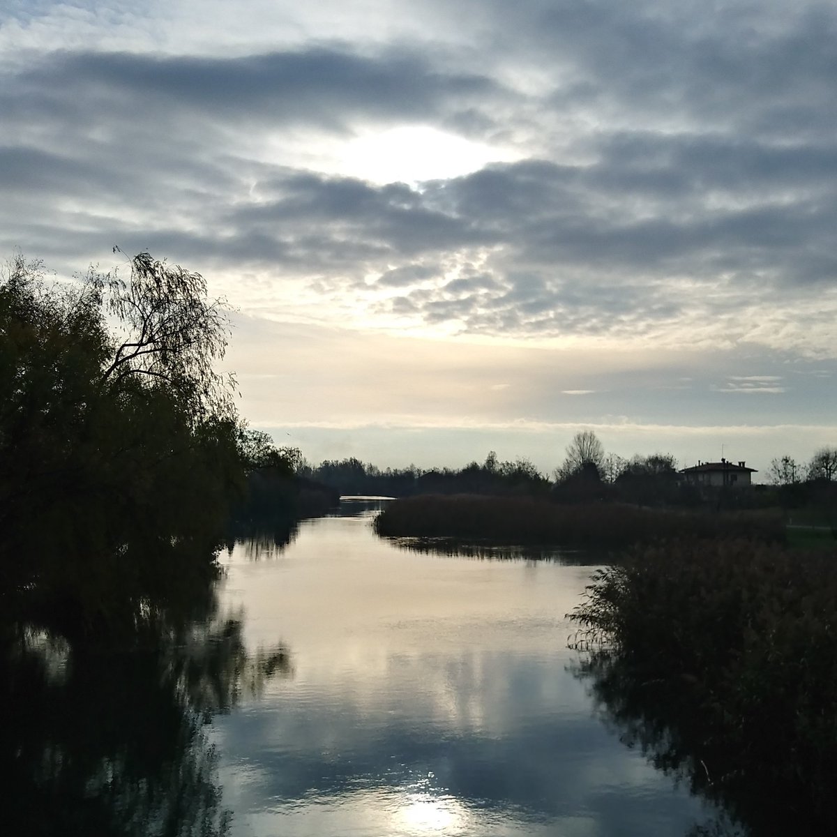 VazzolerClaudia's tweet photo. Riflessi
#VentagliDiParole #BuongiornoATutti #Buongiorno #goodmorning #GoodMorningTwitterWorld #photography #photo #photographer #nature #caposile #visitveneto #NaturePhotography #naturelovers #beauty #beautyoftheworld #dicember https://t.co/VyxML9rLay