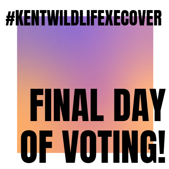 KentWildlife's tweet photo. Today is the last day to VOTE! 

RETWEET to help us win a £150k funding bid to support a project that will have long lasting impacts for wildlife and communities for generations to come! 

Find out more here > https://t.co/LNtUqWpTYl 
#KentWildlifexEcover @TomReadWilson🐃💧🌱🙏🗳️ https://t.co/Ayd3kdZSDQ