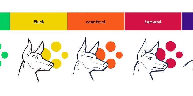 VVohlidal's tweet photo. Dnes na webu ministerstva zdravotnictví:

Že si špatně spočítáte index rizikového systému na kterém stojí celý systém opatřeních v Česku - budiž. Ale jak se sakra stane, že se naprosto splete grafika psů? Jak může být žlutý pes k červeným puntíkům?! K čemu to pak celé je... https://t.co/ag8oDFttW2