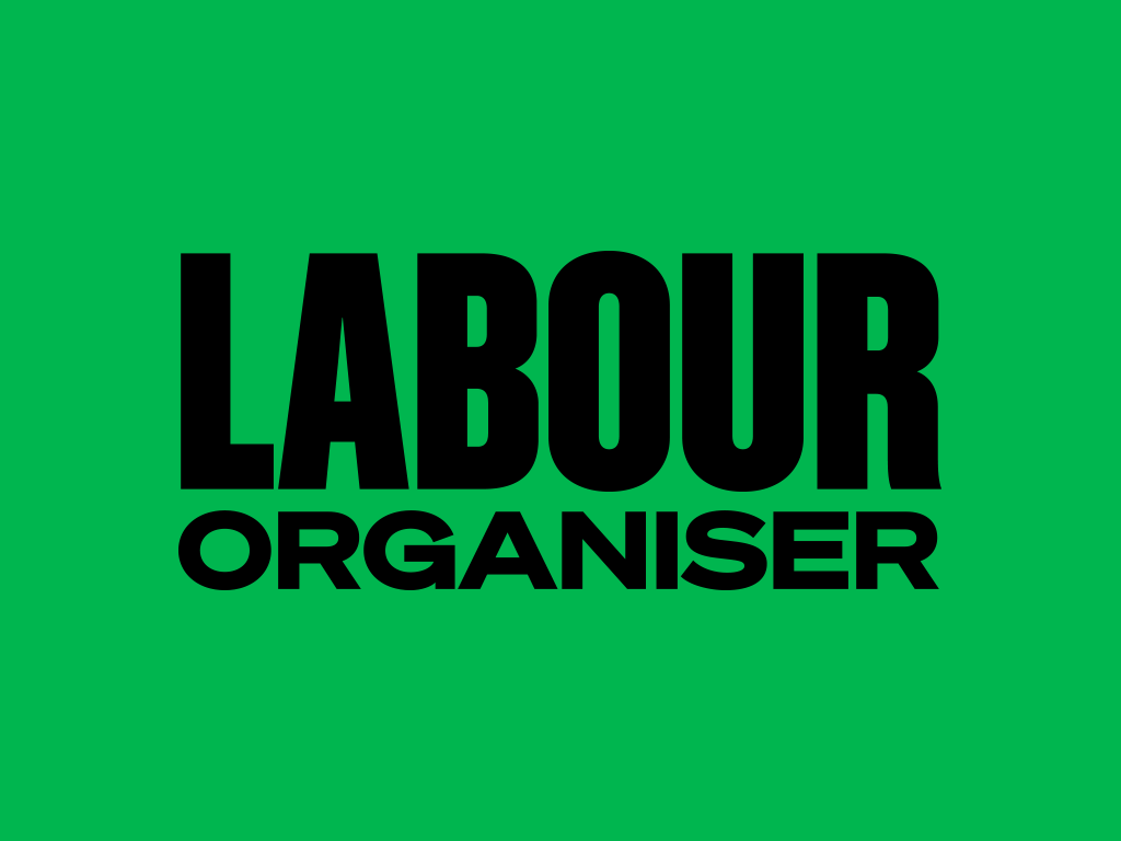 Labour Organiser tweet media