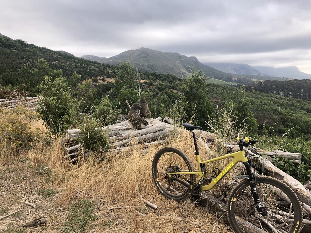 Local <a href="/AMA_TokaiMTB/">TokaiMTB</a> wildlife curious to check out the yellow beauty that invaded their territory this morning #WeRide