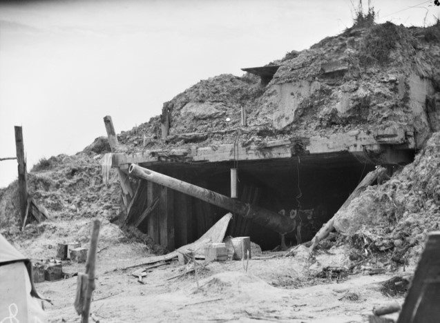 7. One is an 8 cm/40 3rd Year Type gun and the another, a larger 12 cm 11th Year Type gun.  #WeHaveWays