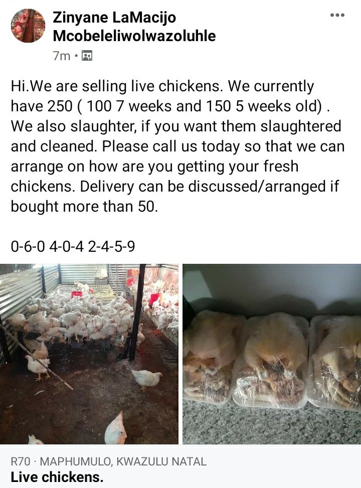 mcomtshali's tweet photo. Please help @ydb_ZN @eThekwiniM @DistrictIlembe https://t.co/G8DWnpv3Kj