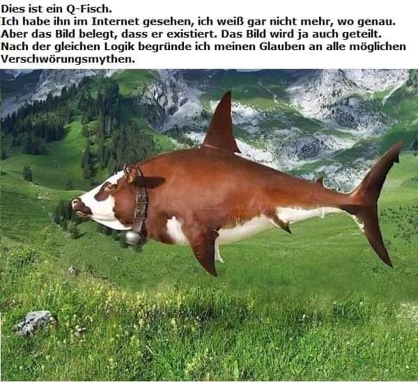 GoldenerAluhut's tweet photo. Guten Morgen! 😃 https://t.co/SUoojH8KuA