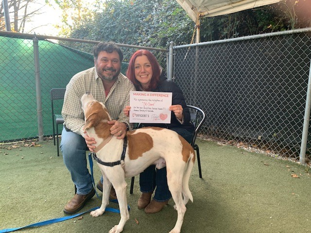 MattKislowski's tweet image. 50 Scent adopted into a forever home this holiday season is my wish! @Perficient gave each employee $100 to create an act of kindness, our #PRFTDifference. With the help of @humanecharlotte, 50’s adoption fees are waived. RT to help 50 Scent! humanesocietyofcharlotte.org/adoption/adopt… #Charlotte