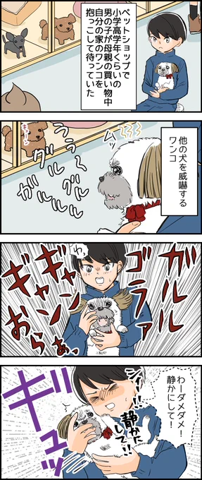 少年と犬が可愛かったっていう話 ブログはこちら https://t.co/csmSDHb74X 