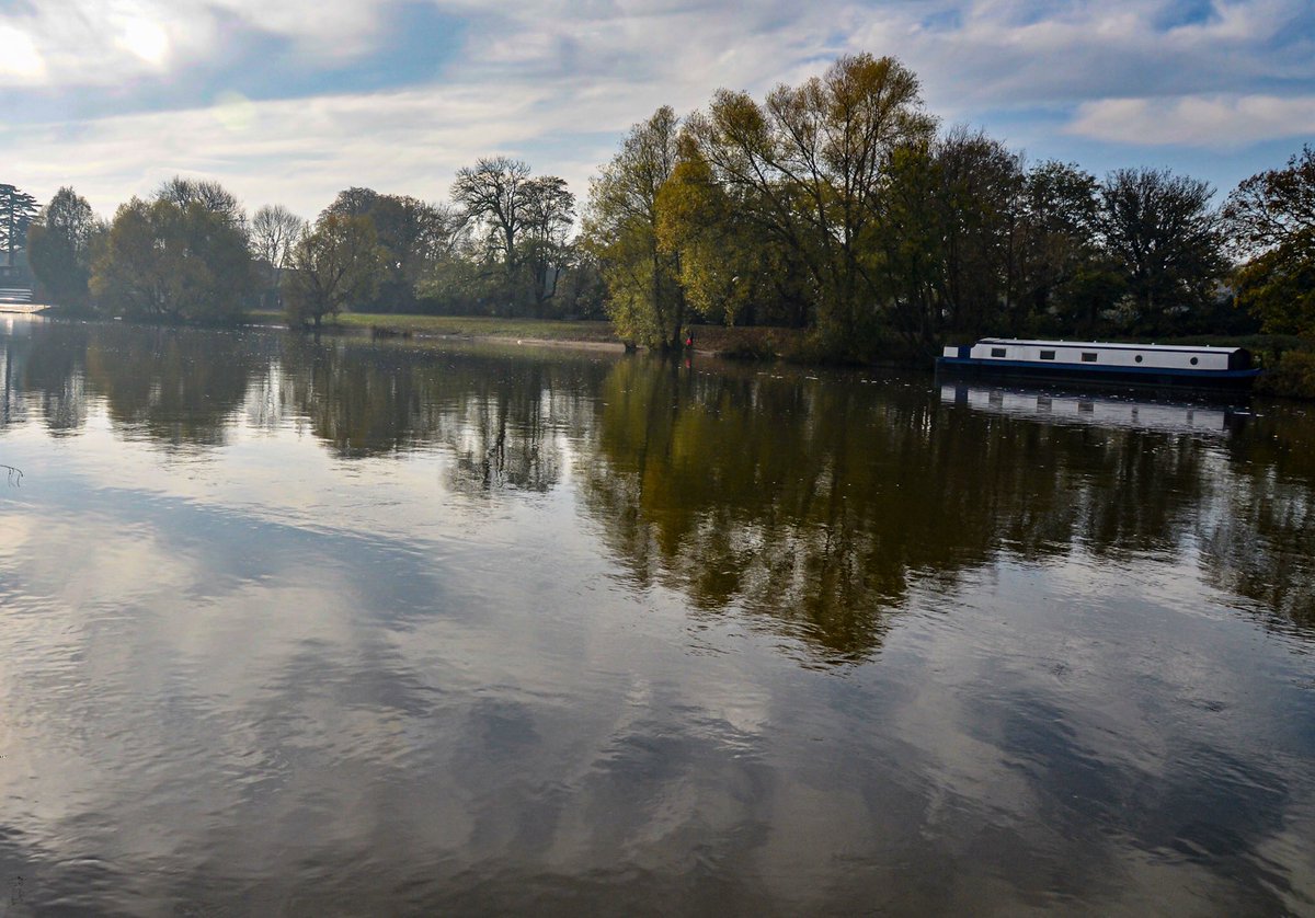 Alexandra Rutherford tweet media